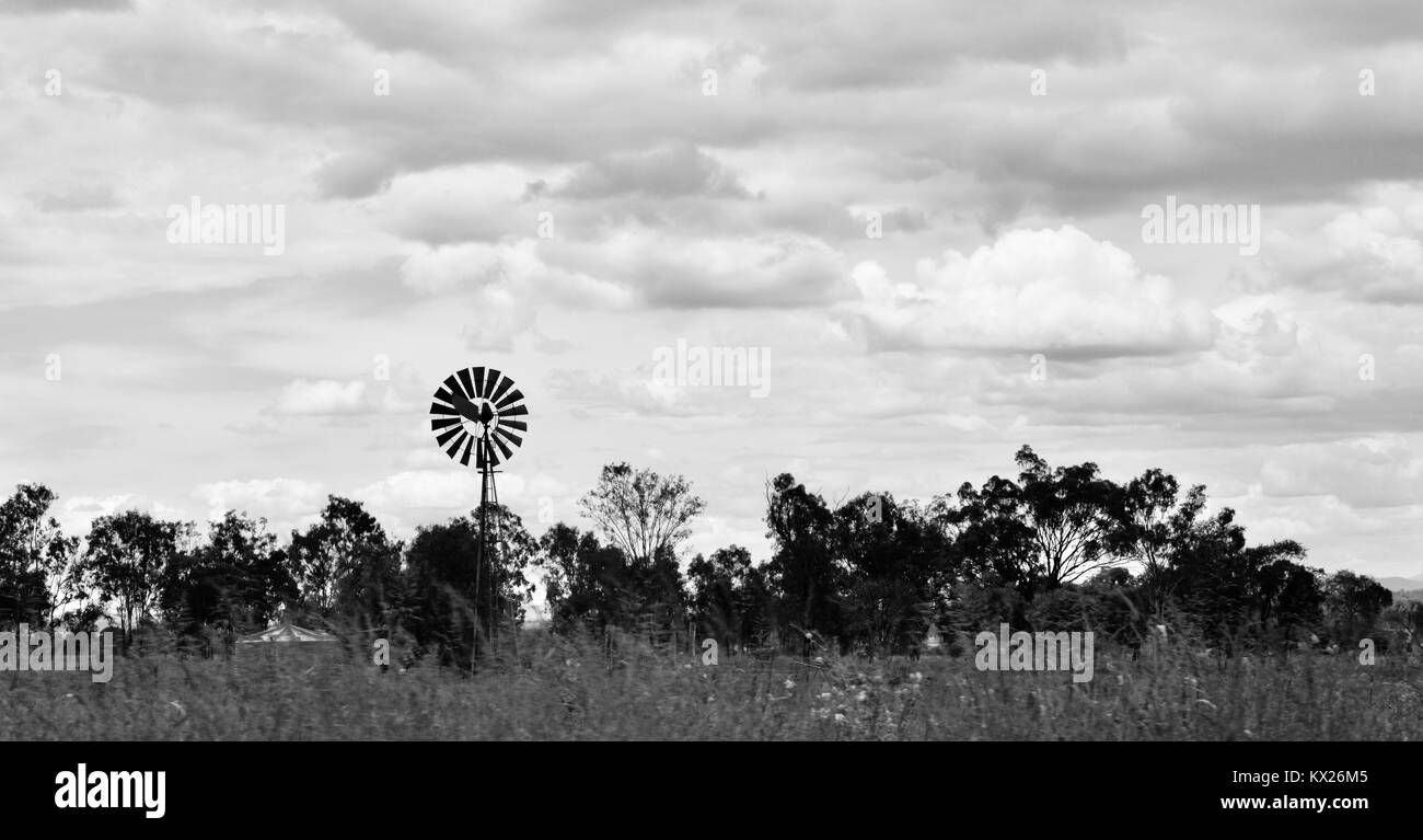 Moulin à vent pour pomper l'eau souterraine, des images en noir et blanc de l'Australie, décembre, Queensland, Australie Banque D'Images