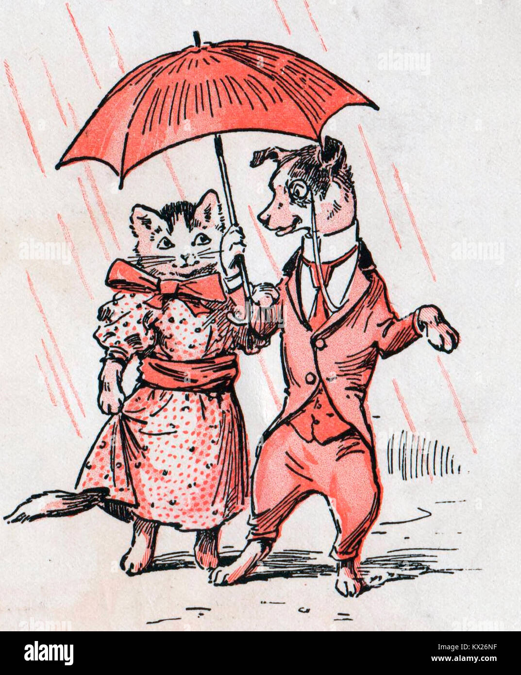 Un chat et un chien sous un parapluie sous la pluie Banque D'Images