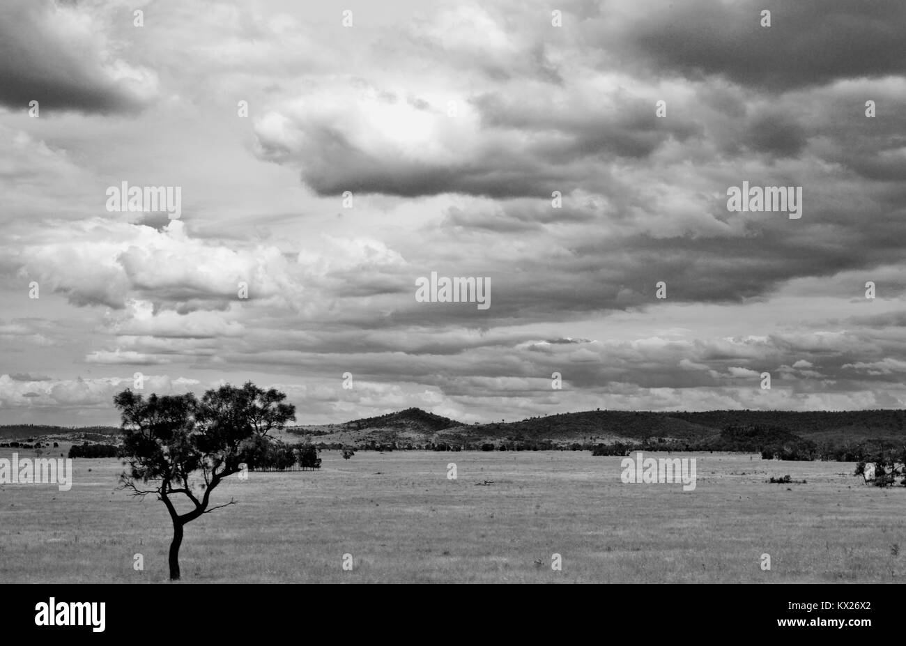 Des images en noir et blanc de l'Australie, décembre, Queensland, Australie Banque D'Images