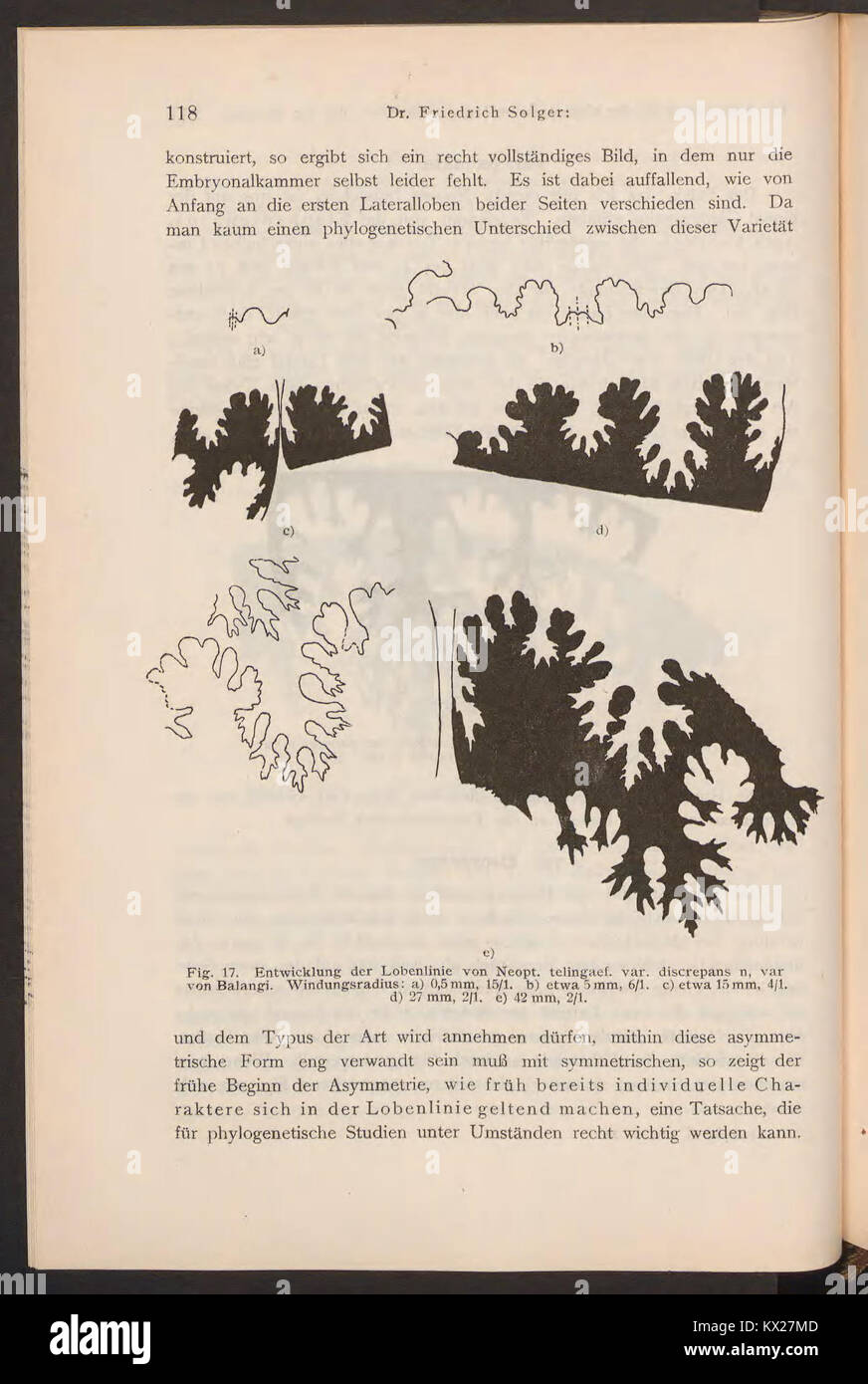 Une page scientifique de 'Beiträge zur Geologie von Kamerun', qui se concentre sur les formations et les études géologiques au Cameroun, contribuant à la recherche géologique du début du XXe siècle en Afrique. Banque D'Images