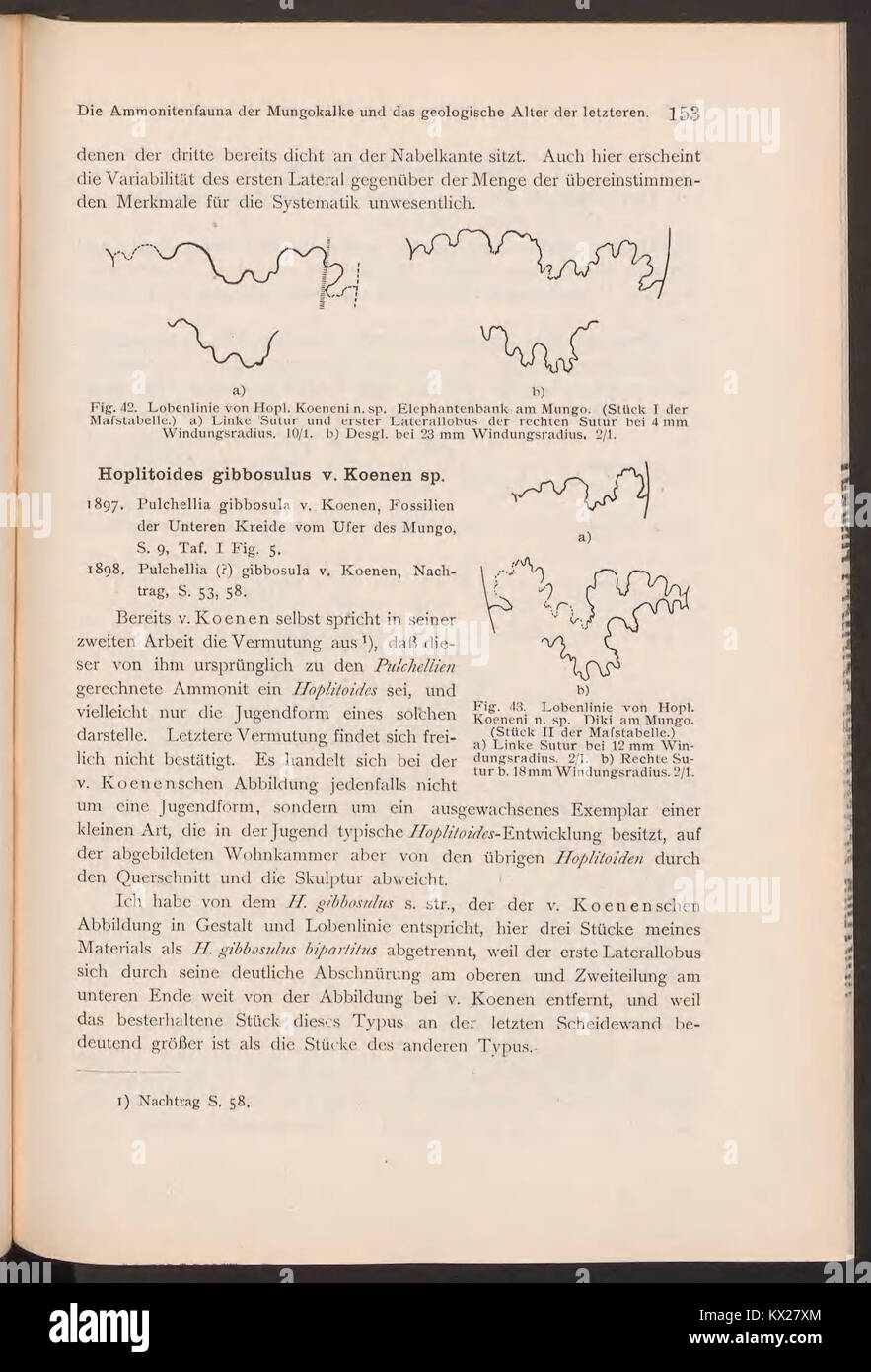 Cette page de 'Beiträge zur Geologie von Kamerun' se concentre sur la géologie du Cameroun, offrant un compte rendu détaillé des caractéristiques géologiques et du paysage de la région, essentiels à la compréhension de son histoire naturelle. Banque D'Images