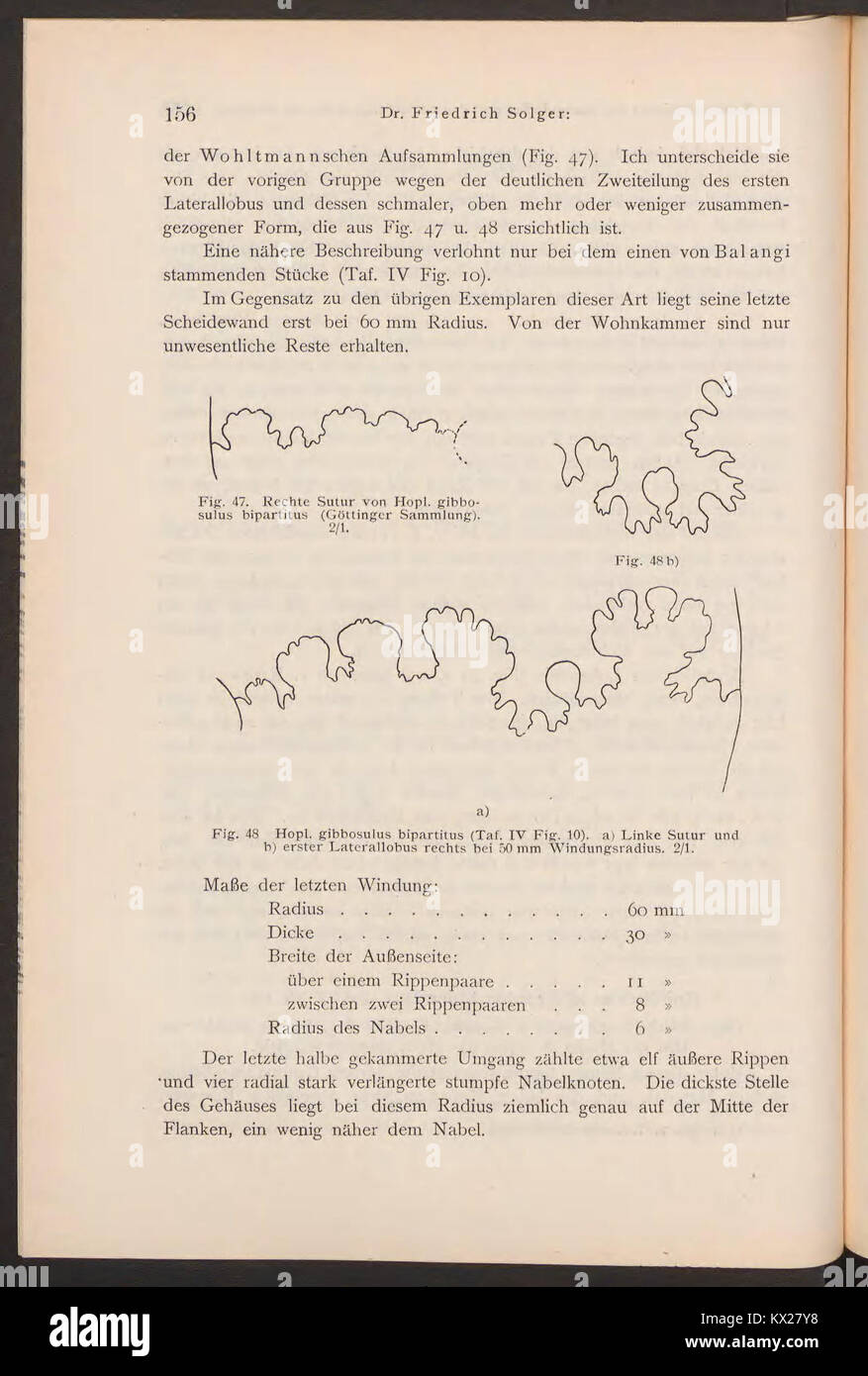 Cette page de 'Beitrage zur Geologie von Kamerun' présente les découvertes géologiques sur les ressources minérales, les formations et le paysage du Cameroun, fournissant un aperçu scientifique. Banque D'Images