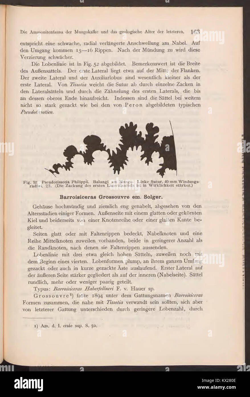 Une page scientifique de 'Beiträge zur Geologie von Kamerun', discutant des caractéristiques et formations géologiques au Cameroun, fournissant les premières données géologiques sur le paysage de la région. Banque D'Images
