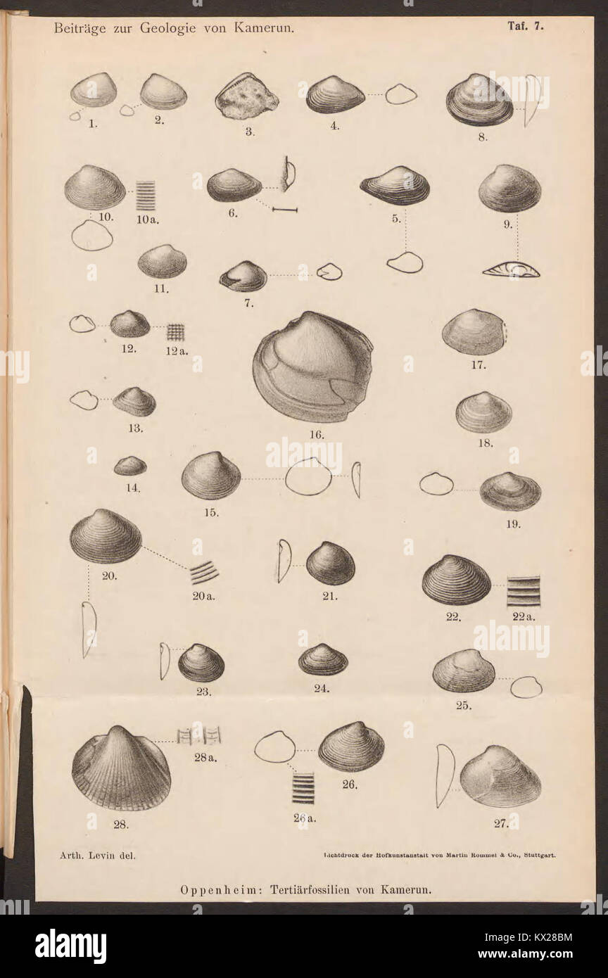 Travaux scientifiques sur la géologie du Cameroun, planche 7, détaillant les formations rocheuses, les minéraux et la géologie structurale à des fins de recherche. Banque D'Images