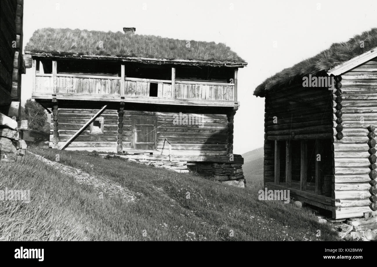 Cette image montre Djuvland Søndre et Gjuvland Søndre, situés à Telemark, en Norvège. Ces régions rurales sont connues pour leur architecture traditionnelle et leur lien avec le patrimoine norvégien. Banque D'Images