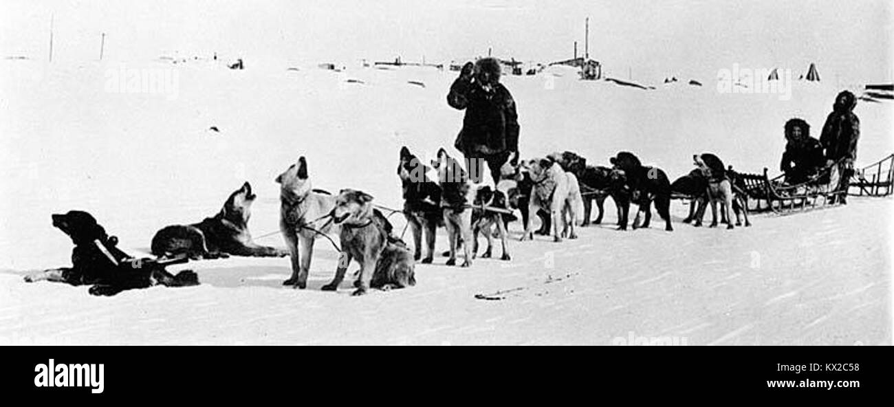 L'équipe de traîneau à chiens de retour de chasse, ca 1906 NOWELL (233) Banque D'Images