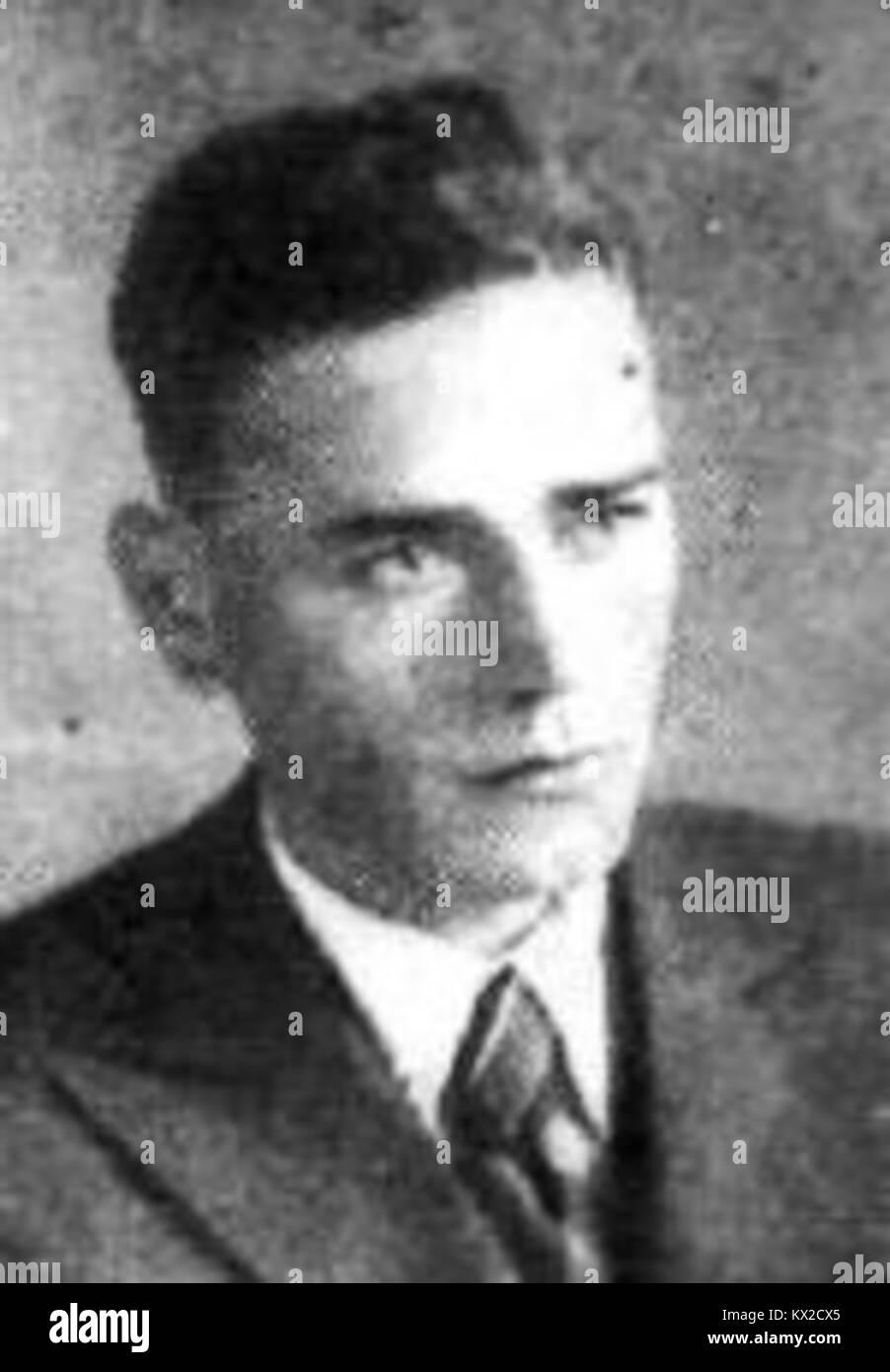 'Portrait de Dominik Stibelj, mettant en valeur son style artistique, sa technique et sa contribution aux arts culturels et visuels, reflétant son rôle dans l'Europe élargie du début du XXe siècle' Banque D'Images