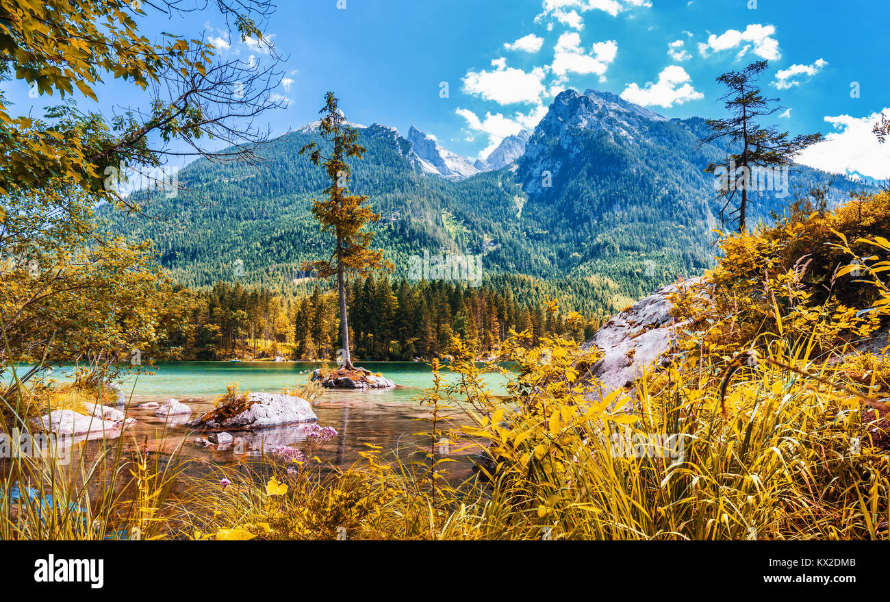Belle scène d'arbres sur une île de roche dans un paysage idyllique au bord du lac Hintersee avec ciel bleu et nuages en été, le parc national de Berchtesgaden Banque D'Images
