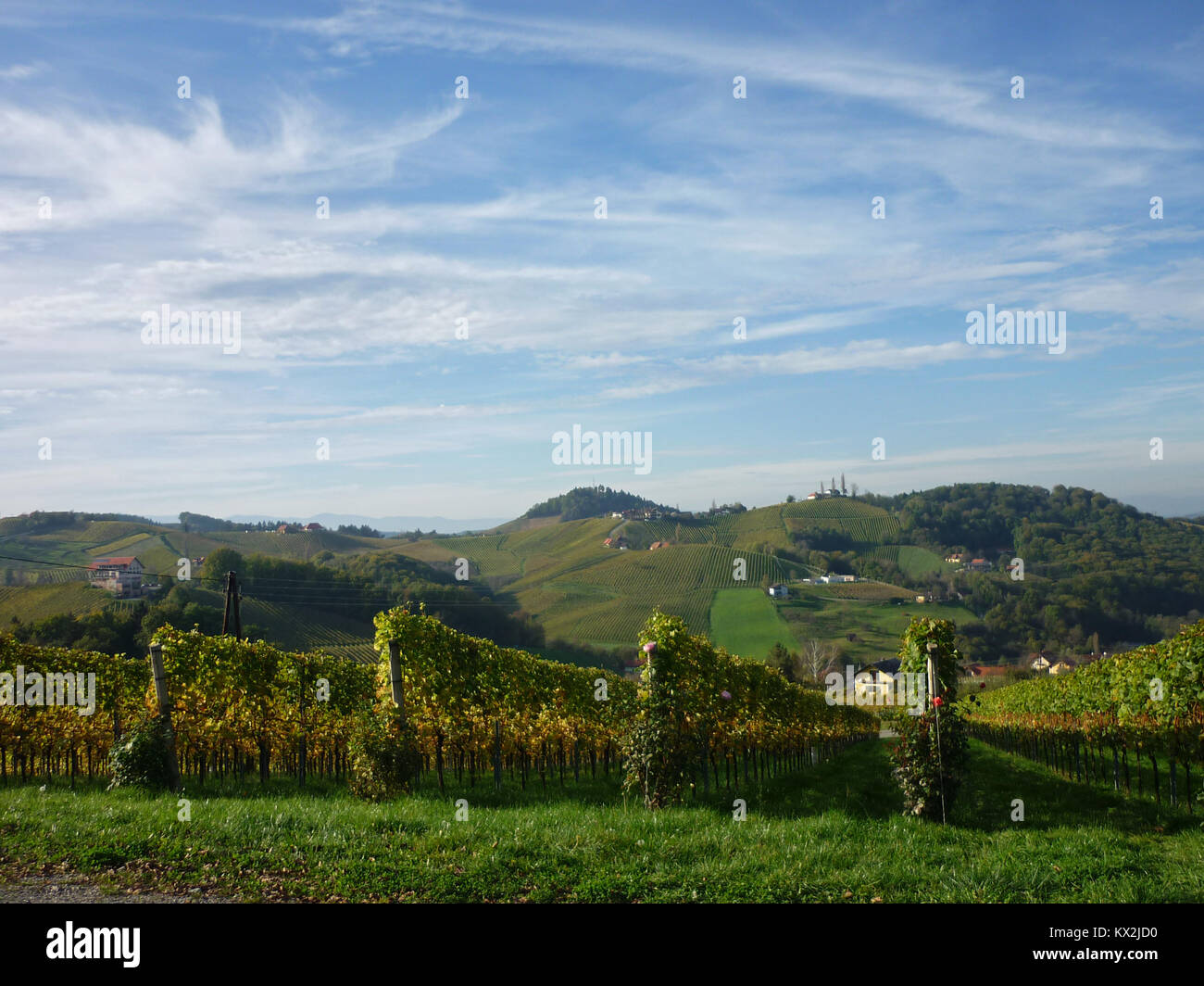 Route des Vins de Styrie, près de Gamlitz, Styrie, Autriche Banque D'Images