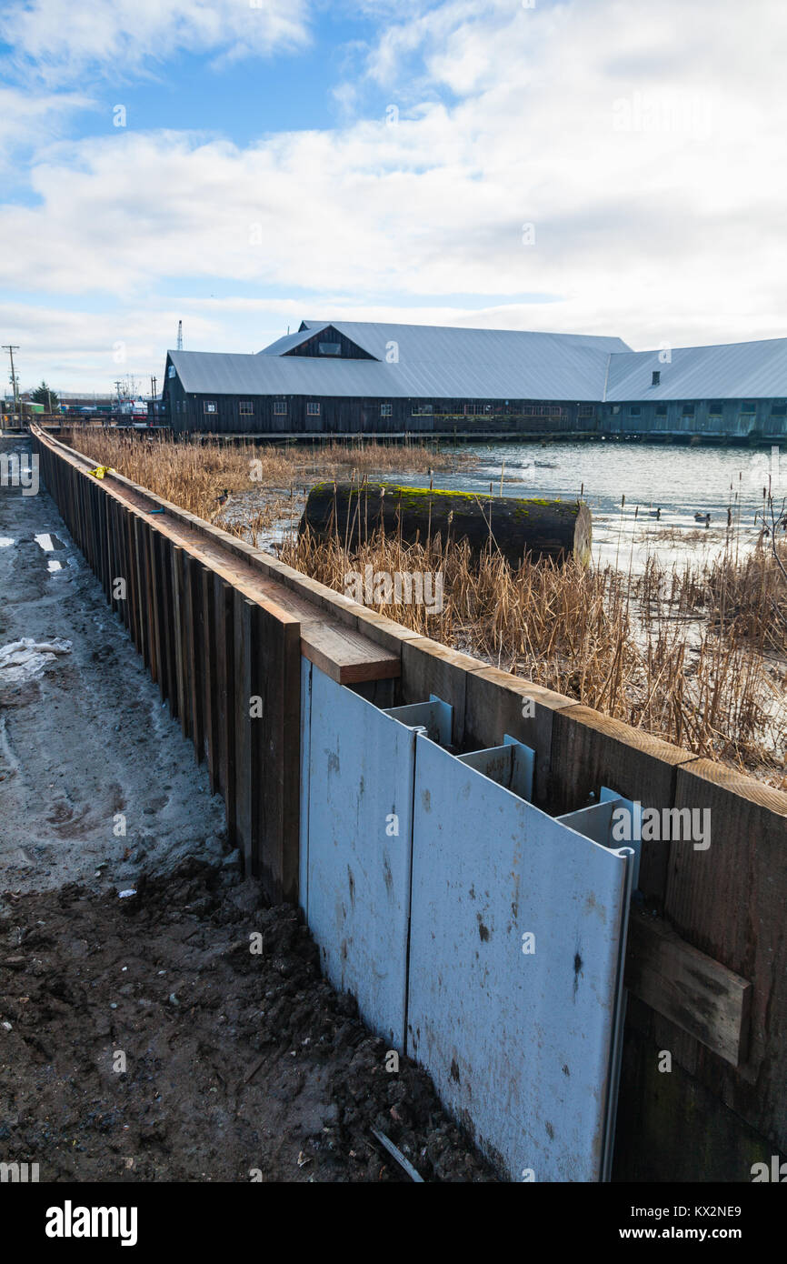 Construction d'une barrière de prévention des inondations le long des rives du fleuve Fraser à Steveston (Colombie-Britannique) Banque D'Images