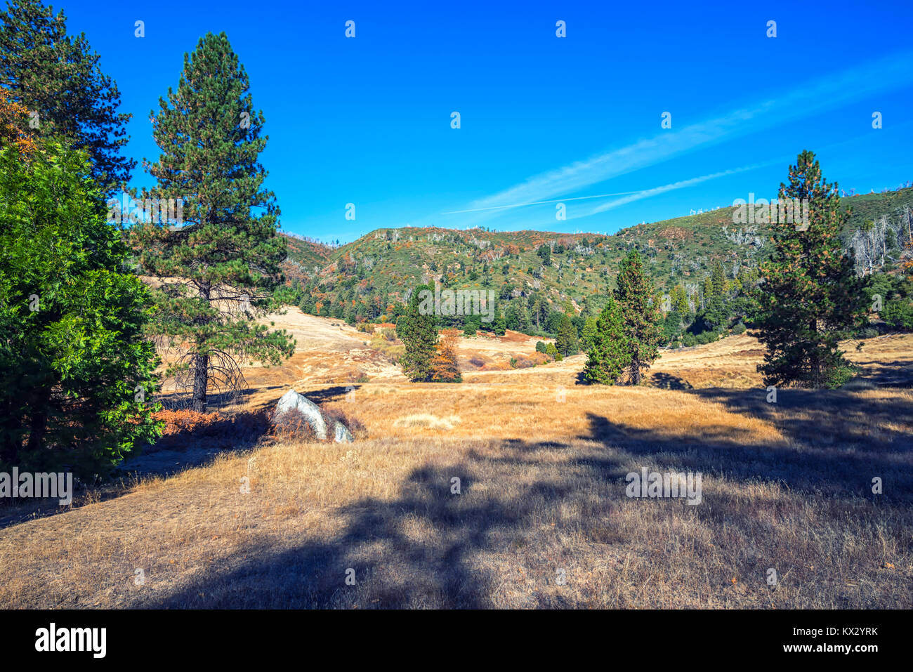 Nature paysage photographié sur un matin d'automne. Palomar Mountain State Park, San Diego, Californie. Banque D'Images