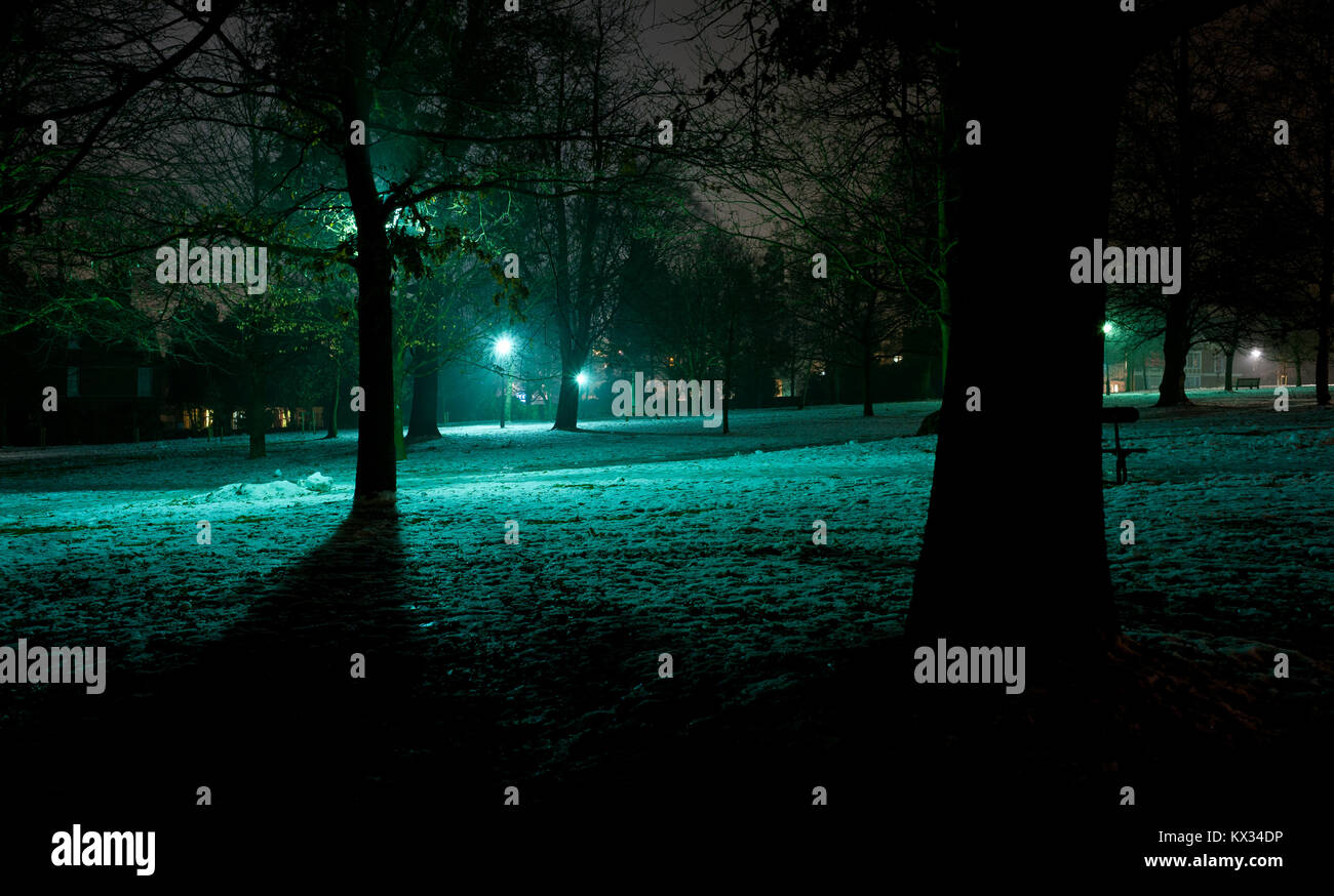 Arbres d'hiver et la lumière bleu-vert sur la neige. Banque D'Images