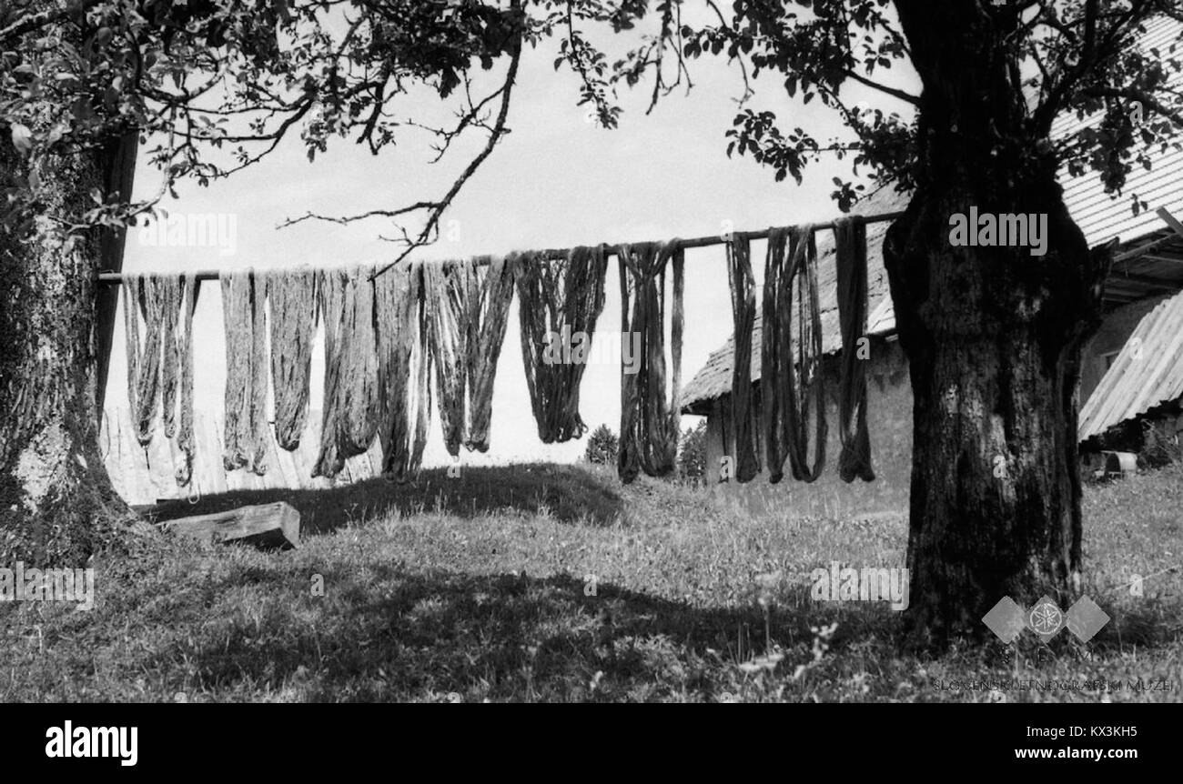 Photographie de 1962 d'une écurie avec fosse à fumier et toilettes près de Špehar, Podlož, Slovénie, illustrant l'infrastructure agricole rurale et la gestion du bétail. Banque D'Images