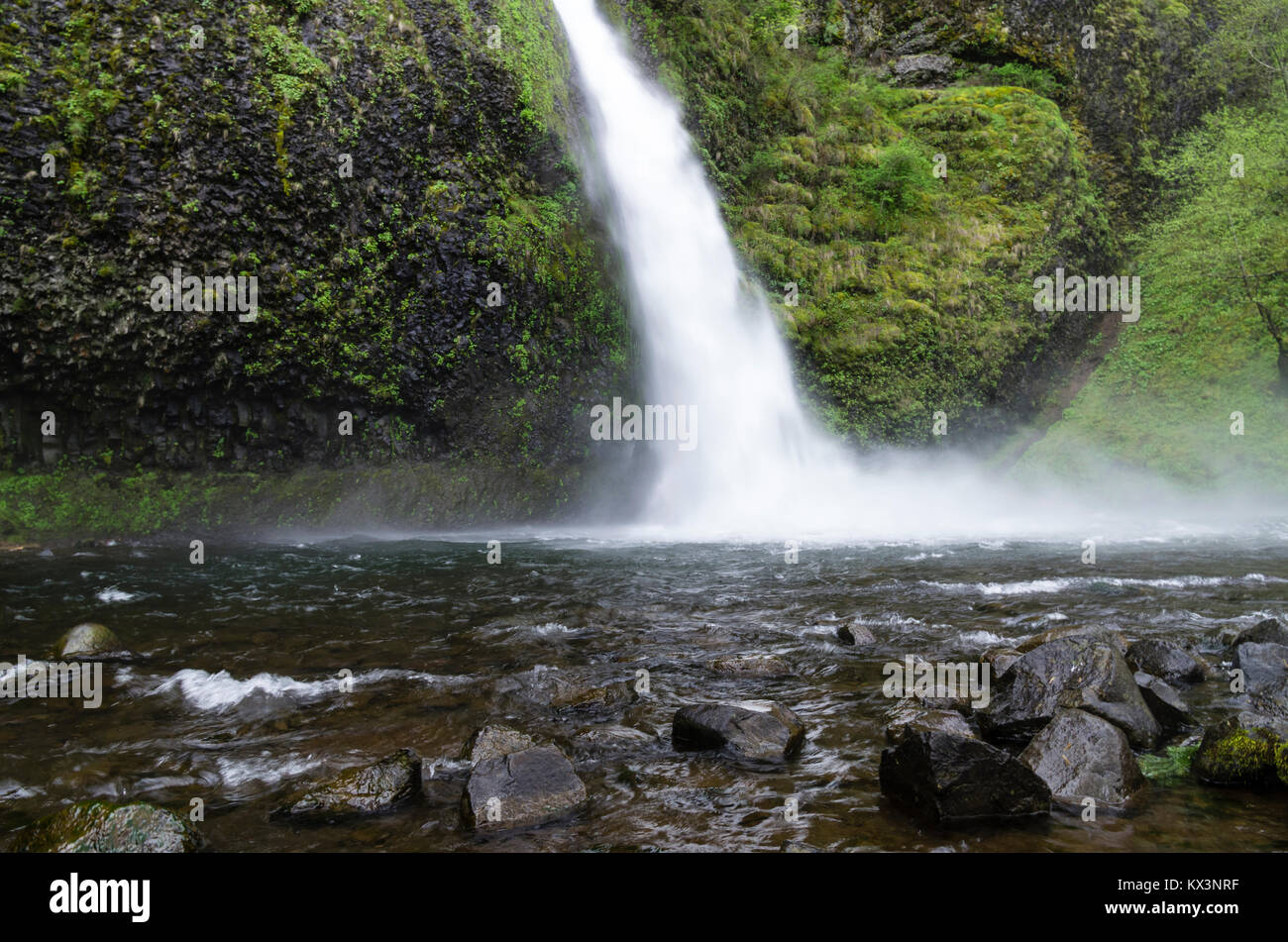 La prêle tombe dans la gorge du Columbia National Scenic Area. De l'Oregon, USA Banque D'Images