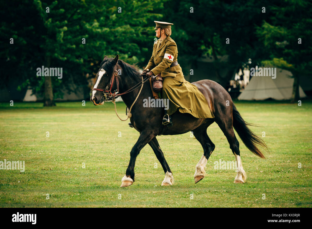 La DEUXIÈME GUERRE MONDIALE, un cheval d'assistant médical de combat Banque D'Images