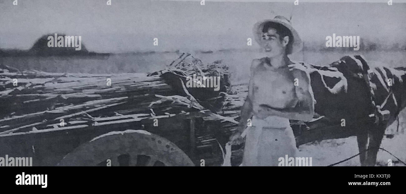 Photographie de l'acteur Jin Yan dans le film 'Top Gun', montrant costume, représentation de rôle et contexte cinématographique. Banque D'Images