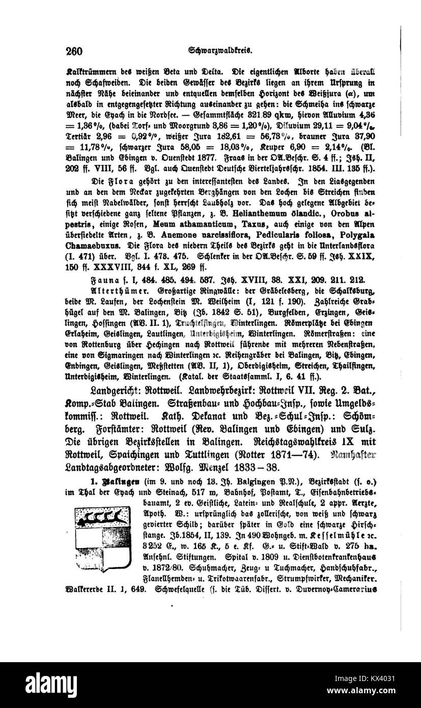 Partie de la série « le Royaume de Württemberg III », montrant les détails topographiques et architecturaux de Württemberg, en Allemagne, y compris les villes, les rivières et les bâtiments remarquables. Banque D'Images