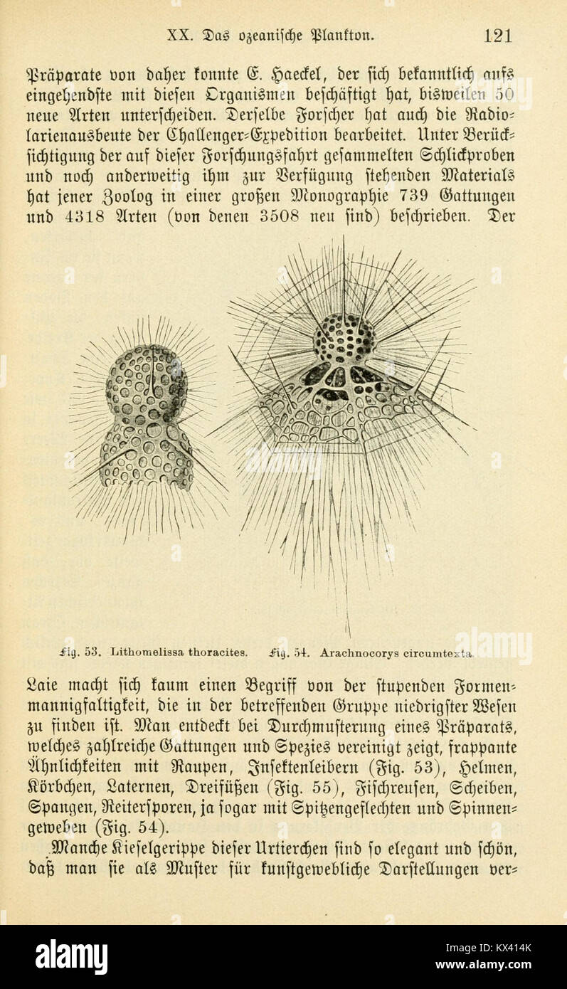 Une page de 'Das Süsswasser-Plankton', un travail scientifique axé sur l'étude du plancton d'eau douce, présentant des espèces microscopiques et leurs rôles écologiques dans les écosystèmes aquatiques. Banque D'Images