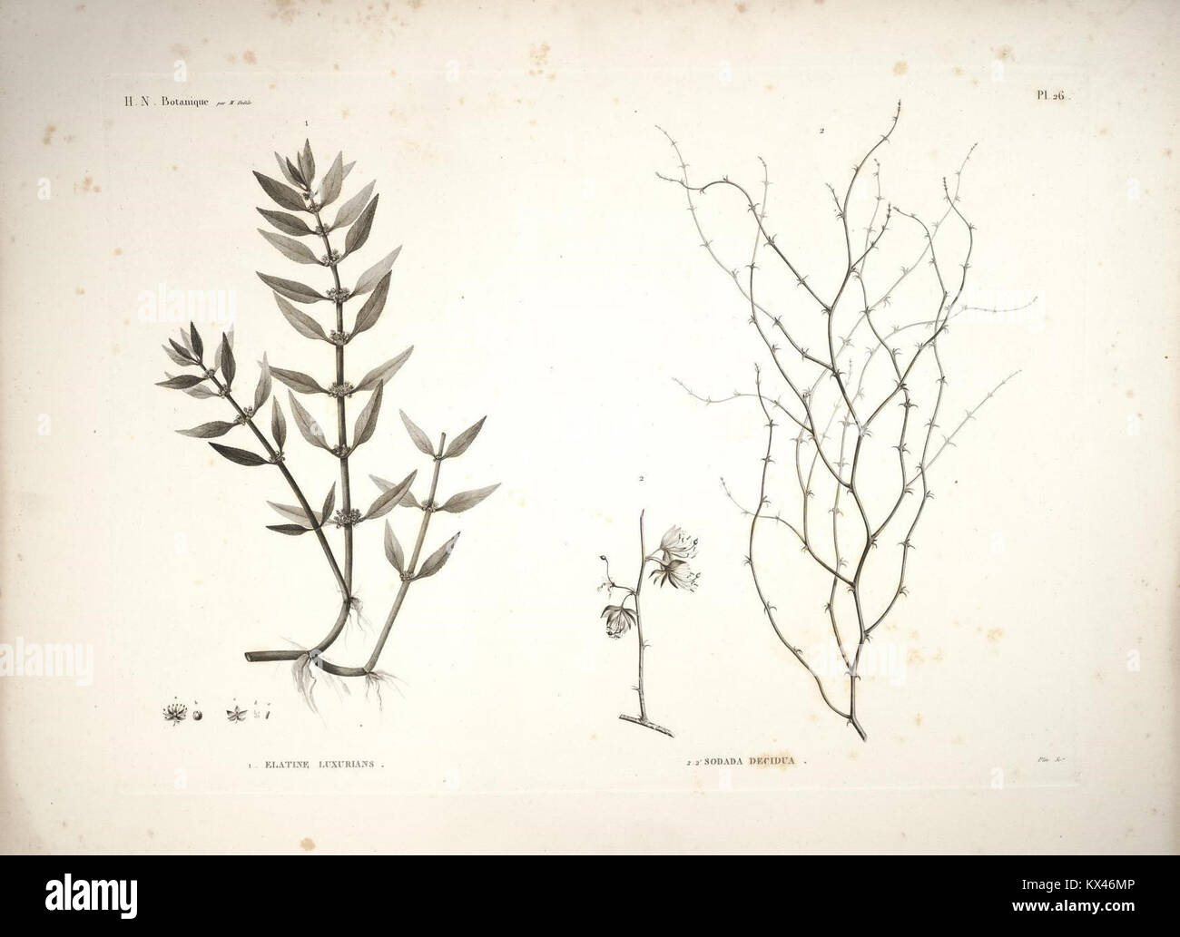 La planche 26 de la Description de l'Égypte illustre les monuments, l'art et l'architecture égyptiens, contribuant à la compréhension de la civilisation égyptienne antique. Banque D'Images