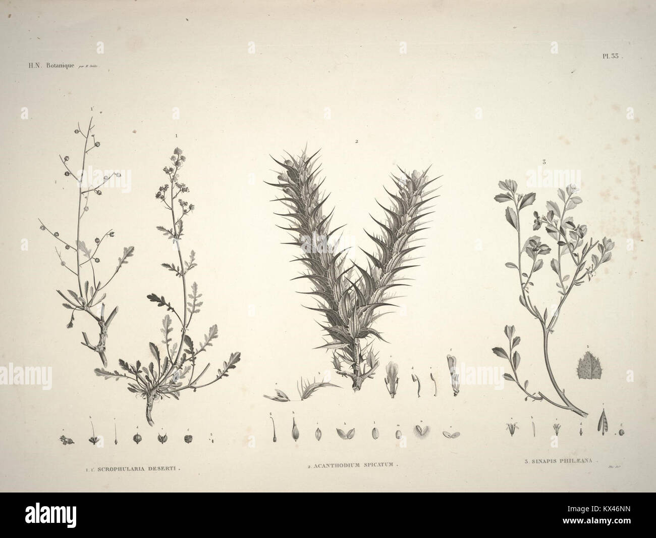 La planche 33 de la Description de l'Égypte illustre l'art, l'architecture et les caractéristiques archéologiques égyptiens, donnant un aperçu de la civilisation égyptienne antique. Banque D'Images