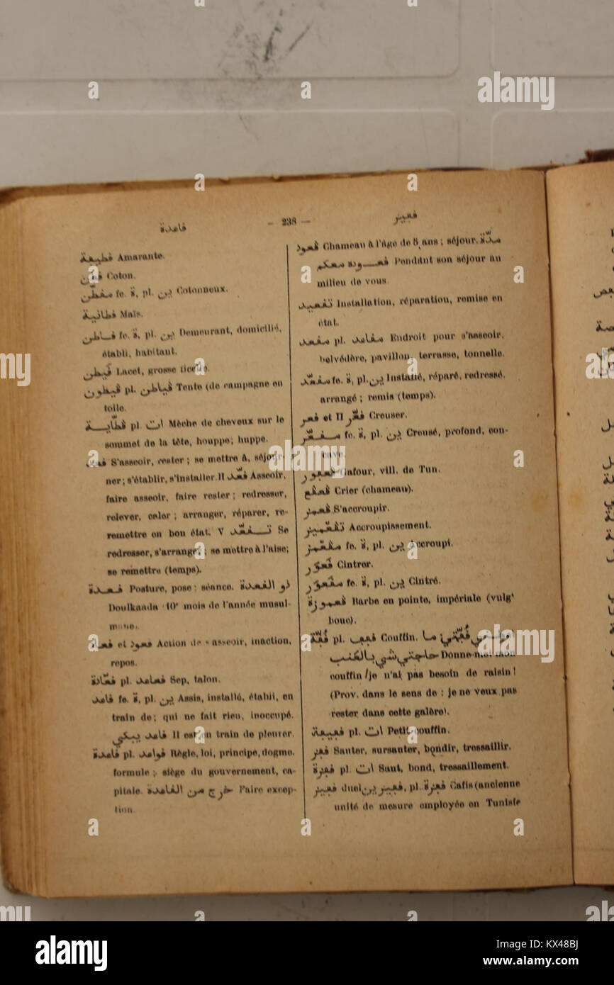 Dictionnaire Arabe-Français par Alfred Nicolas (1938) p 238 Banque D'Images
