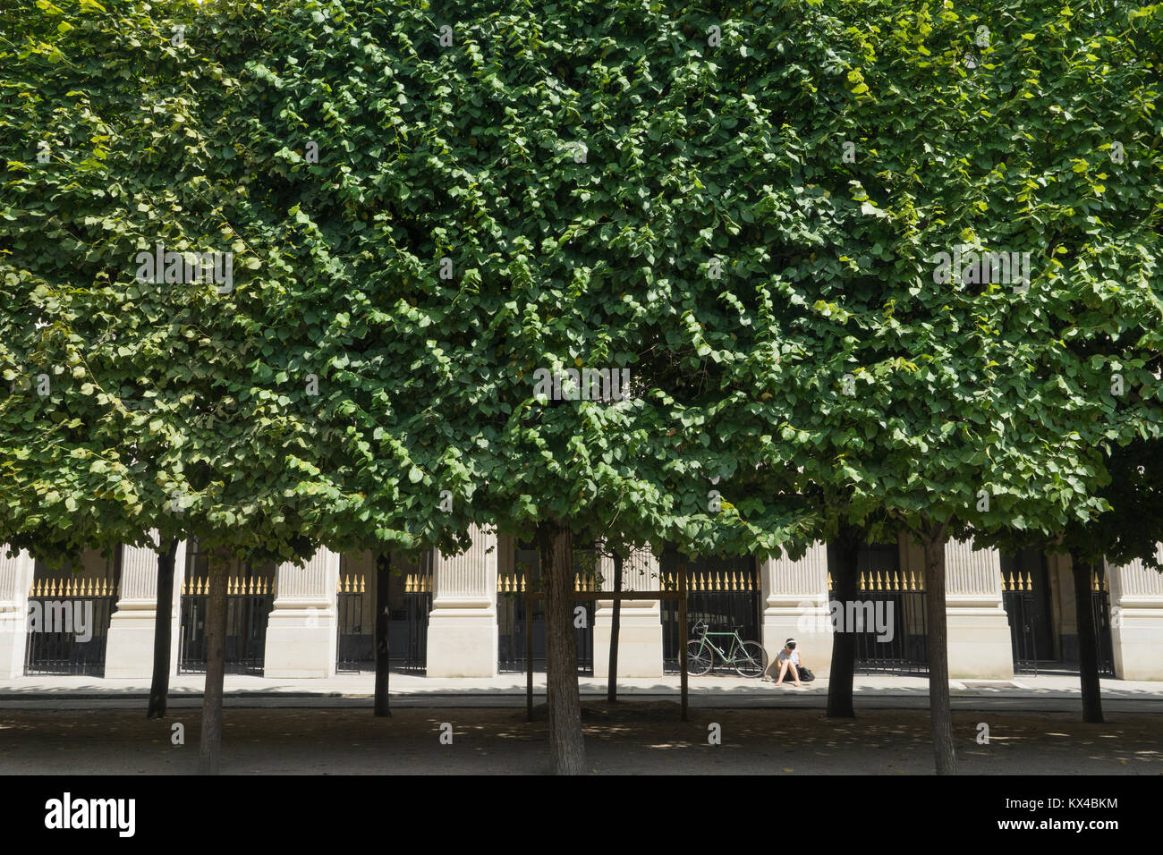 France, Paris (75), Jeune femme lisant dans le jardin du Palais Royal. Banque D'Images