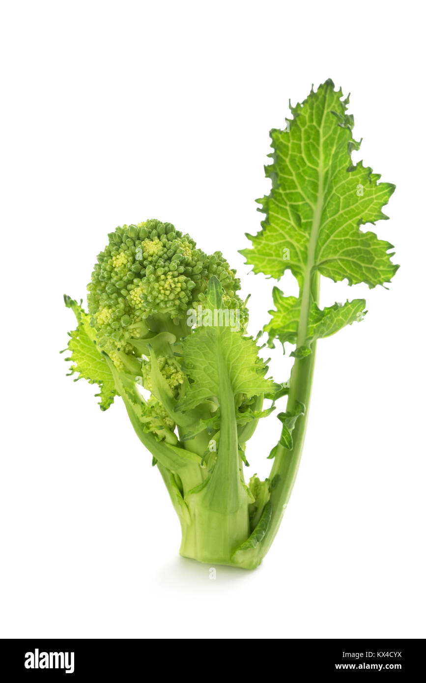 Rabe de rapini ou de brocoli frais isolé sur fond blanc Banque D'Images