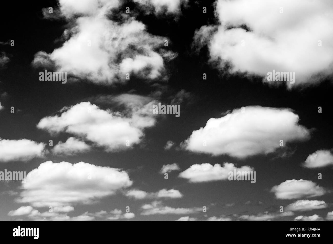 Les cumulus avec des modèles naturels aux beaux jours en été Banque D'Images