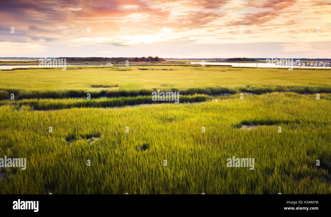 Vue aérienne d'un paysage de marais au lever du soleil Banque D'Images