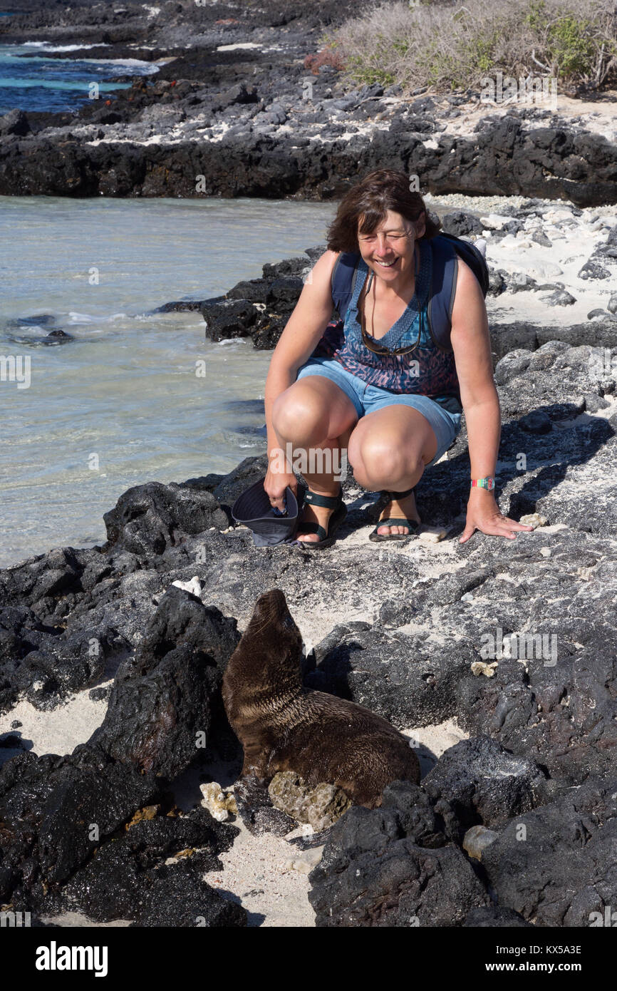 Un touriste et de lions de mer, Chinese Hat Island, îles Galapagos Équateur Amérique du Sud Banque D'Images