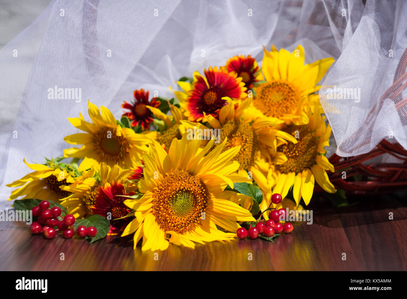 La composition avec le tournesol, les marguerites et viburnum rouge sur fond de panier et un tissu blanc transparent Banque D'Images