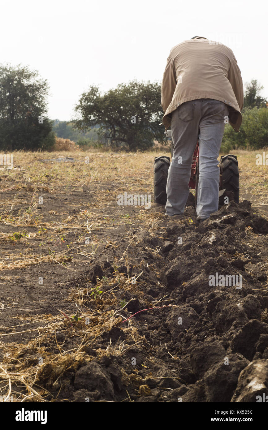 L'UKRAINE, DIKANKA - 30 septembre 2015 : pays agriculteur laboure son jardin avec jardin derrière le tracteur. Banque D'Images