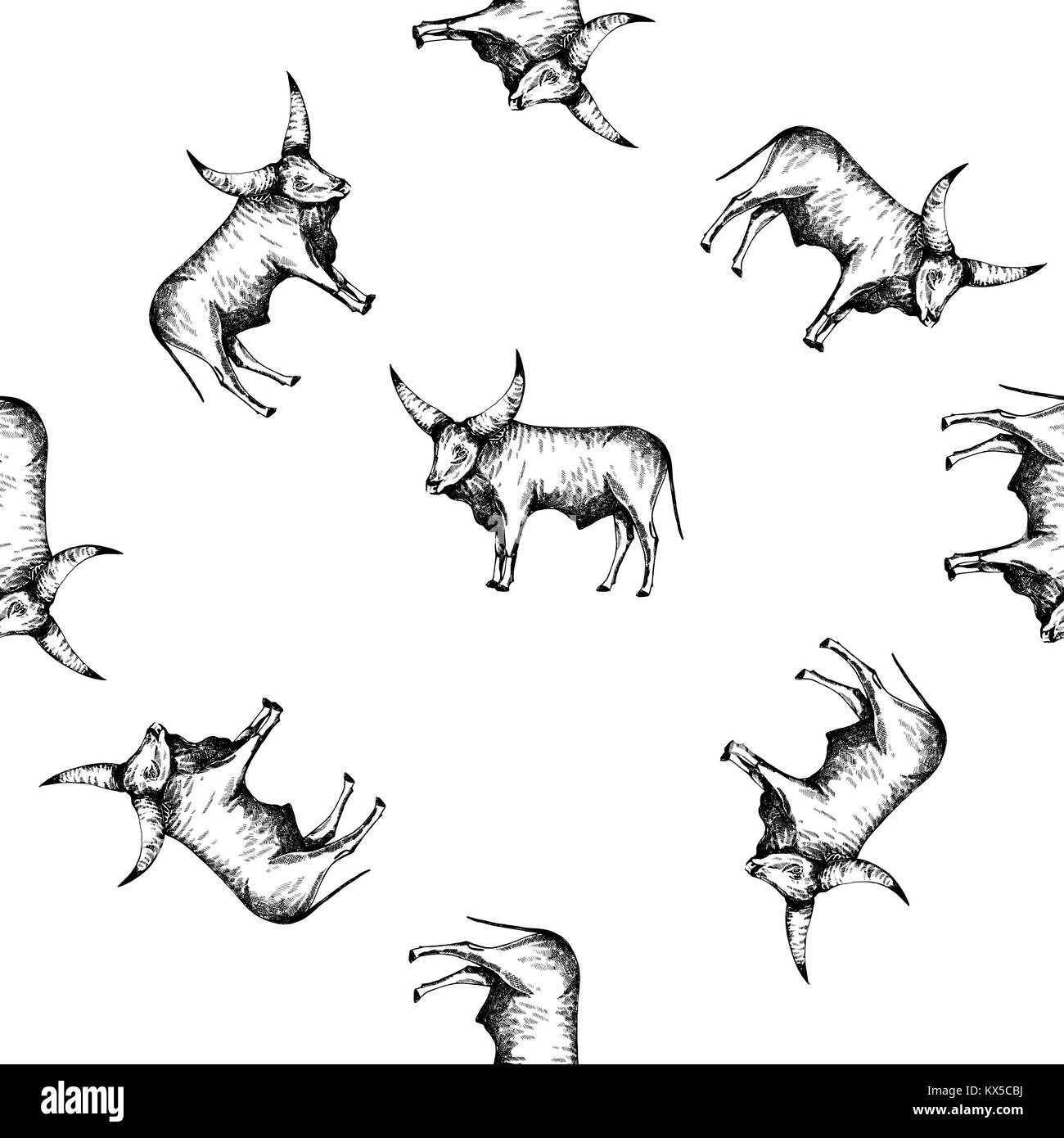 Profil de transparente esquisse dessinée à la main les bovins Watusi style. Vector illustration isolé sur fond blanc. Illustration de Vecteur