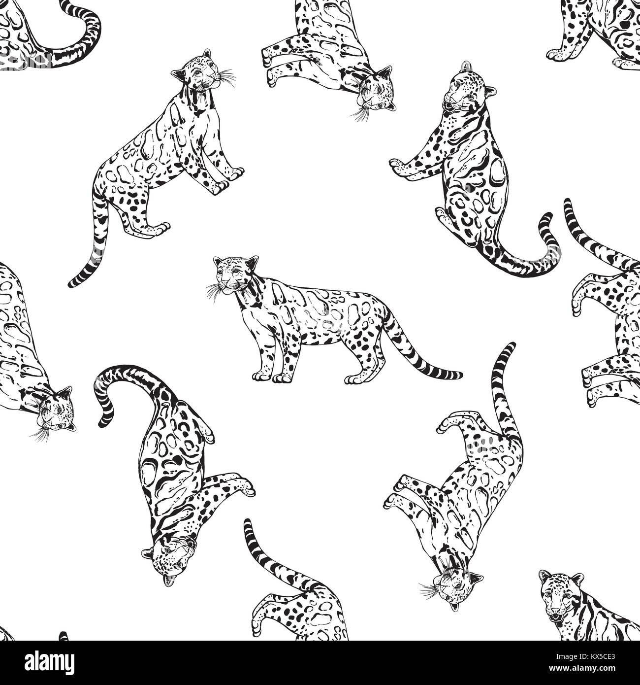 Modèle de style croquis transparent obscurci léopards. Vector illustration isolé sur fond blanc. Illustration de Vecteur