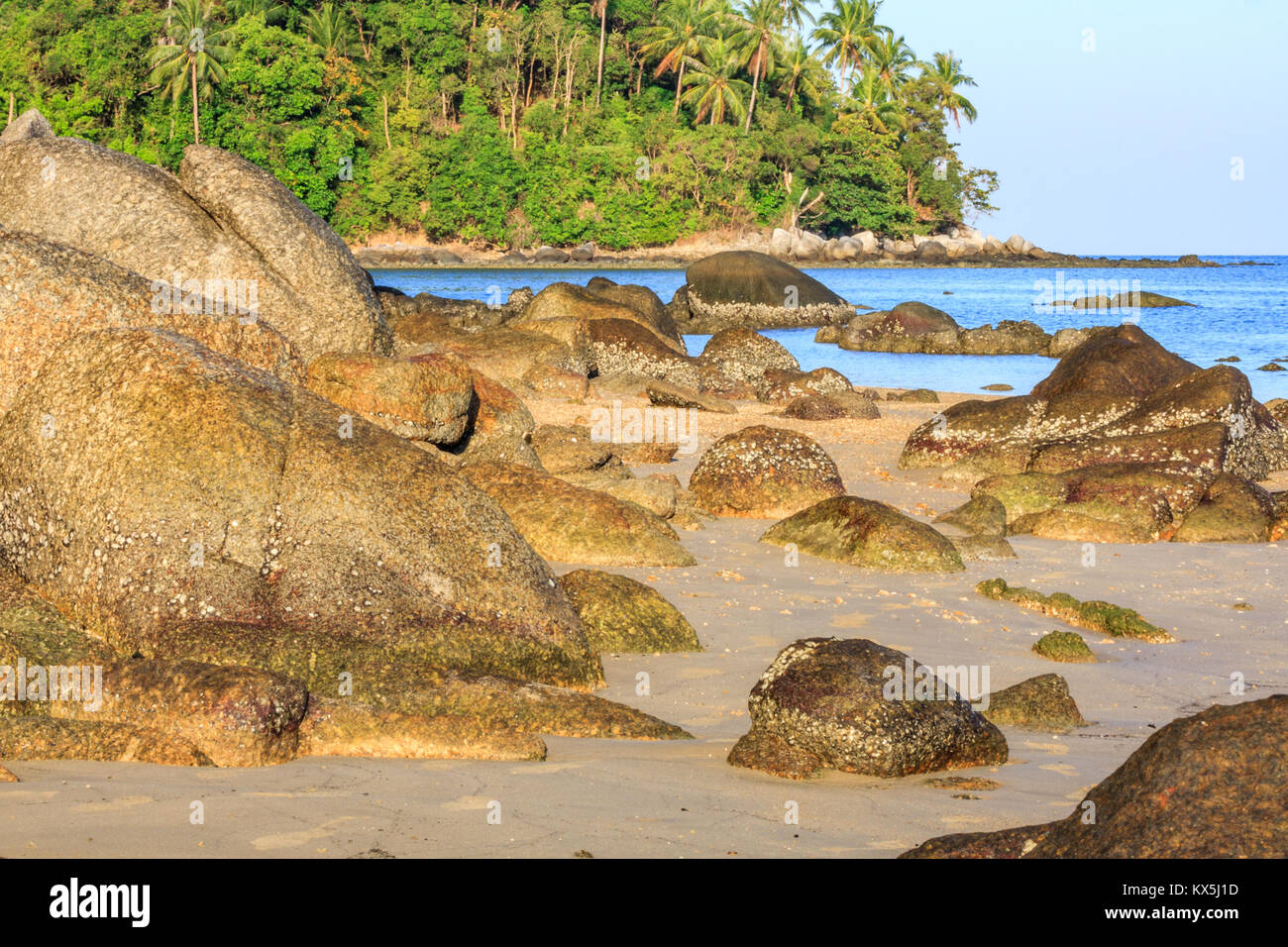 Rochers sur la plage tropicale, Bang Tao, Phuket, Thailand Banque D'Images