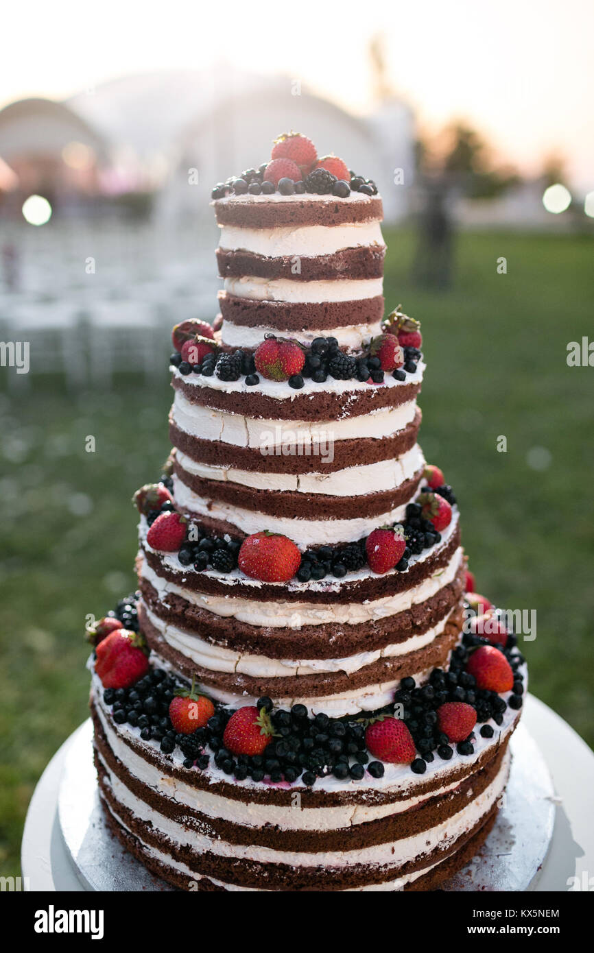 Gâteau de mariage à niveaux multiples ronde avec éponge, de crème, de confiture et de fruits rouges sur une base circulaire. Des bleuets frais et fraises Banque D'Images