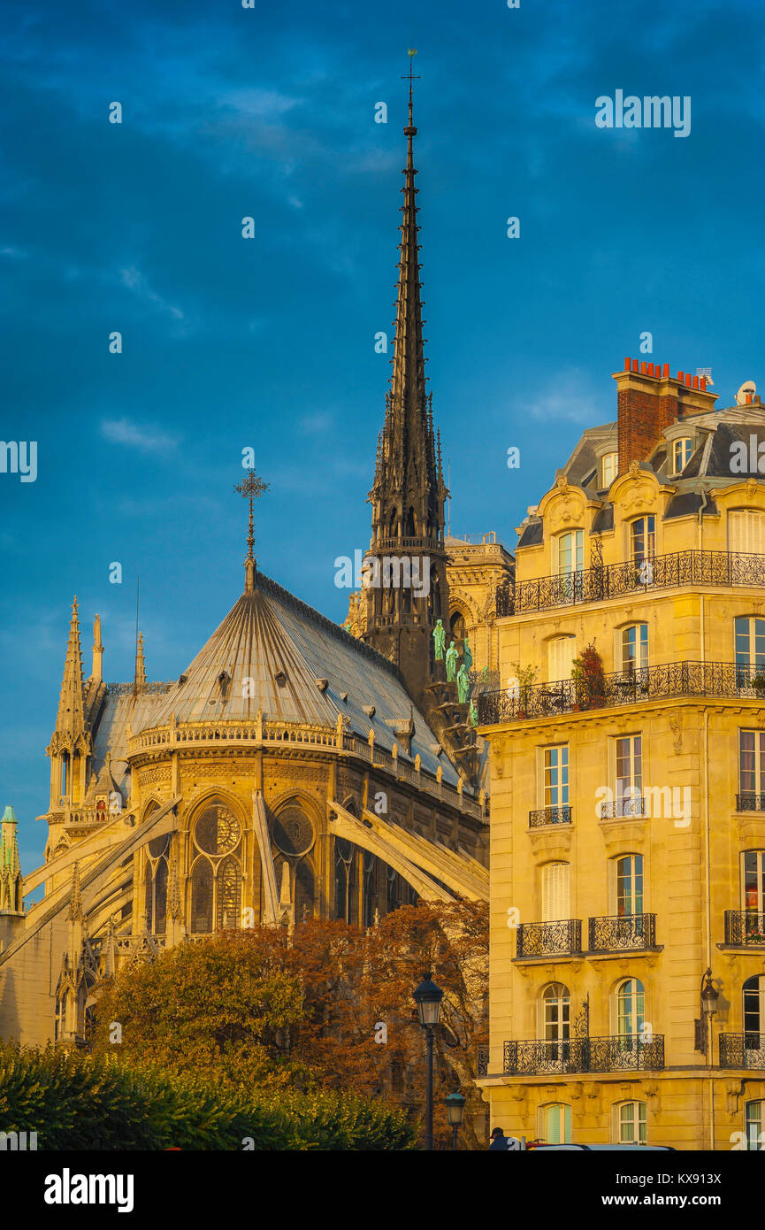 L'architecture de Paris, l'est de la Cathédrale Notre Dame à côté d'un immeuble typique du xixe siècle sur l'Ile de la Cité à Paris, France. Banque D'Images