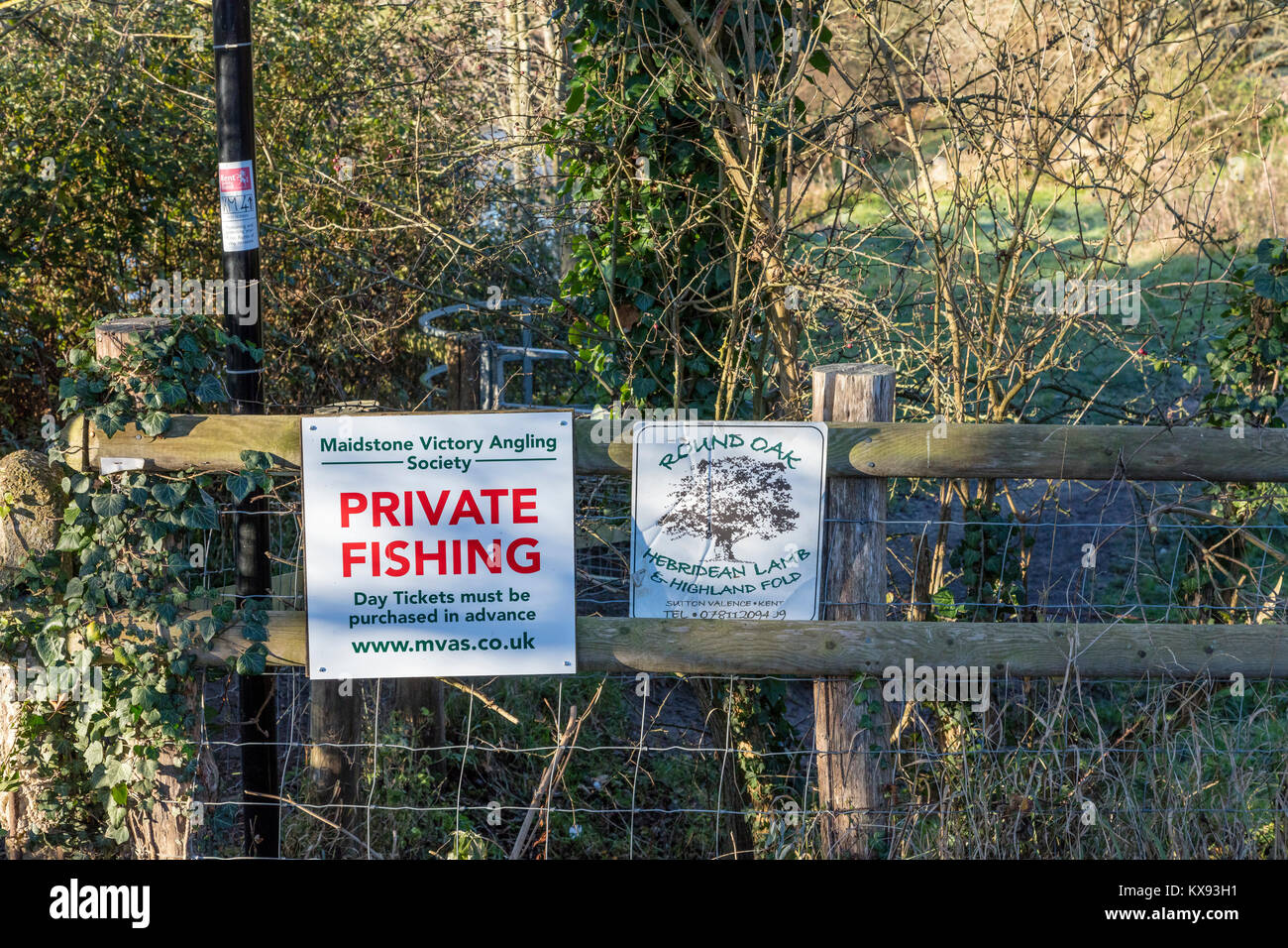 Signes sur l'Meway Valley à pied montrant que Round Oak Farm Hebridean moutons et bovins Highland sont sur le terrain, Barming, Kent, UK Banque D'Images