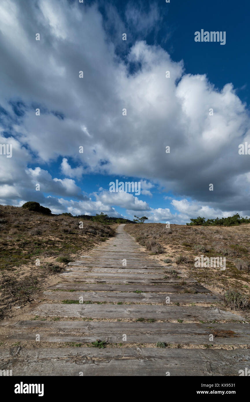Promenade en bois avec un ciel sauvages Banque D'Images