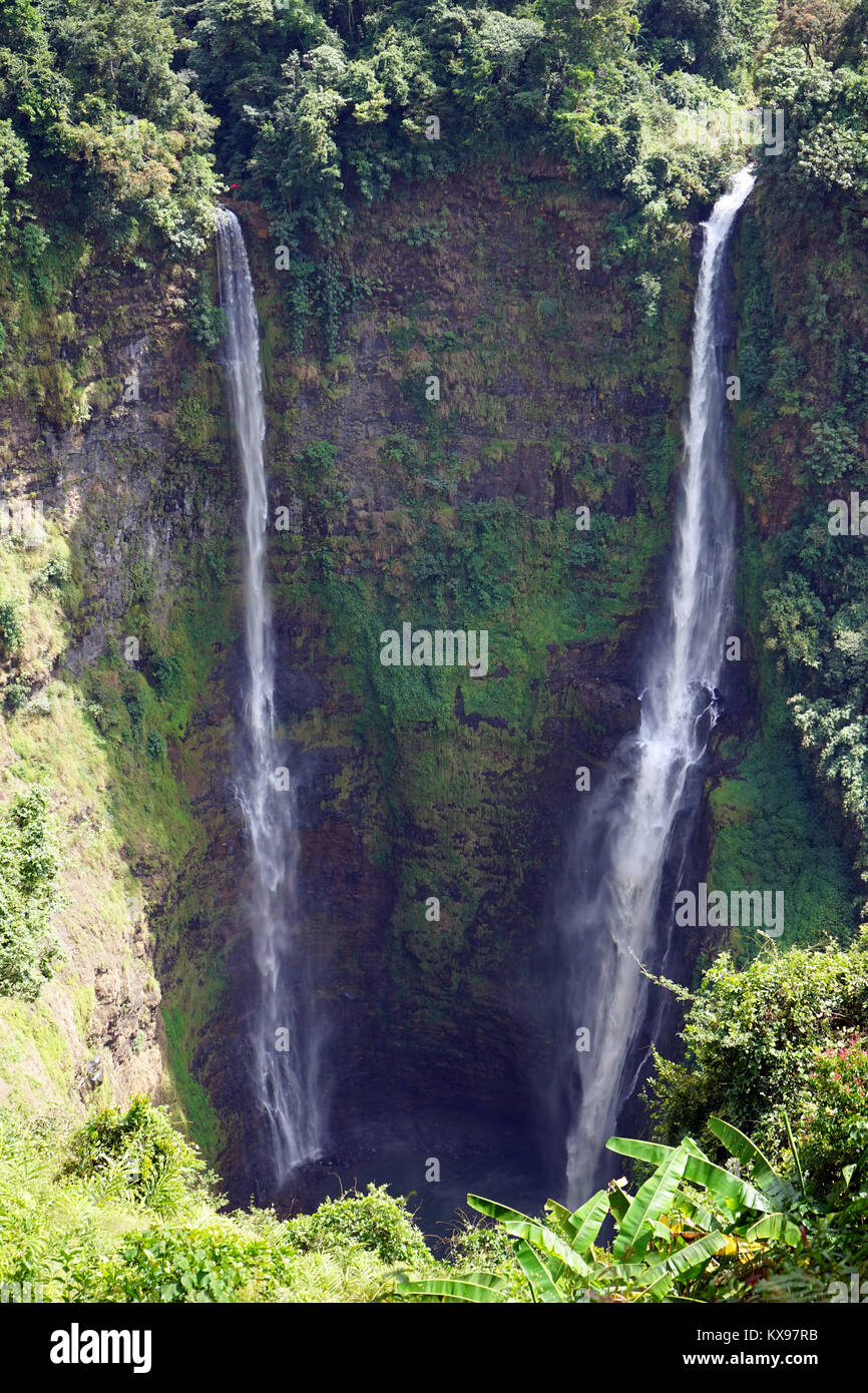 Cascade de Tad Fane sur le Plateau Boleven au Laos Banque D'Images