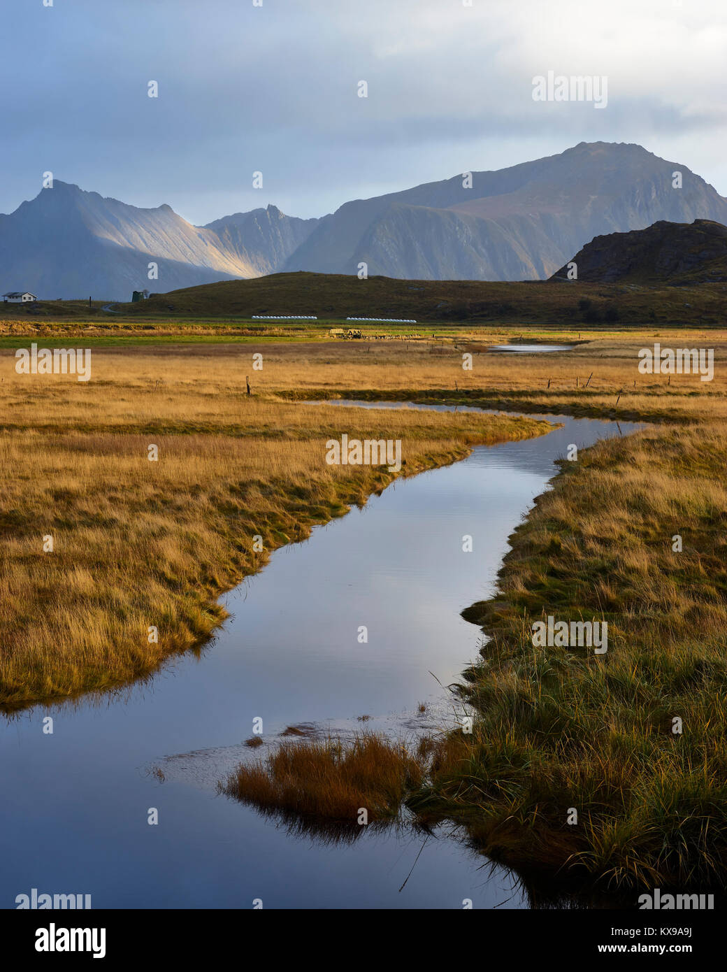 Paysage des zones humides à Medvoll, Moskenesoya, Lofoten, Nordland, Norvège Banque D'Images