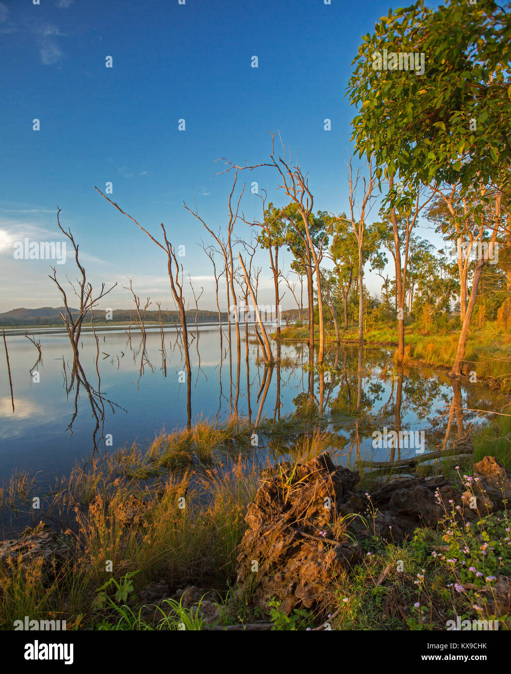 Paysage magnifique avec arbres et ciel bleu reflété dans les eaux calmes du lac bleu au Paradise barrage, Queensland Banque D'Images