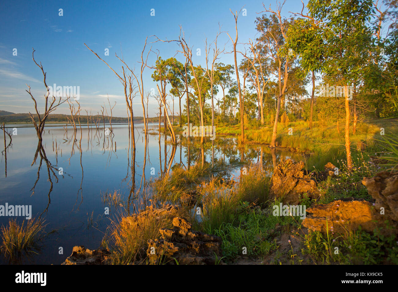 Paysage magnifique avec arbres et ciel bleu reflété dans les eaux calmes du lac bleu au Paradise barrage, Queensland Banque D'Images