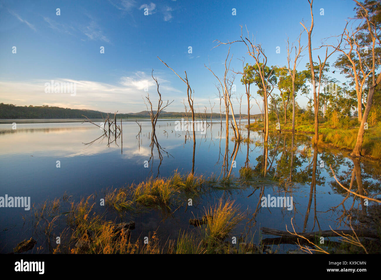 Paysage magnifique avec arbres et ciel bleu reflété dans les eaux calmes du lac bleu au Paradise barrage, Queensland Banque D'Images