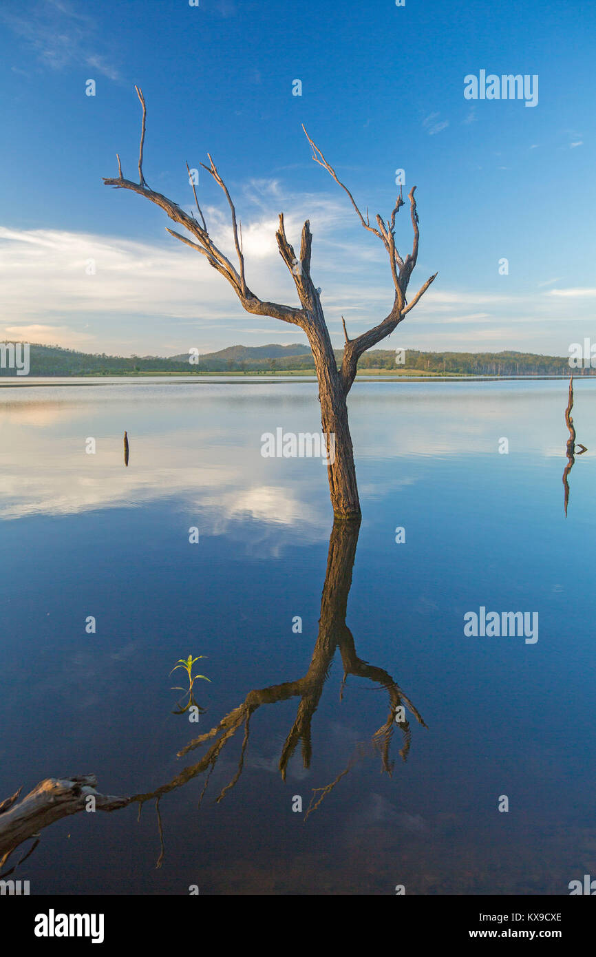 Paysage magnifique avec arbres et ciel bleu reflété dans les eaux calmes du lac bleu au Paradise barrage, Queensland Banque D'Images