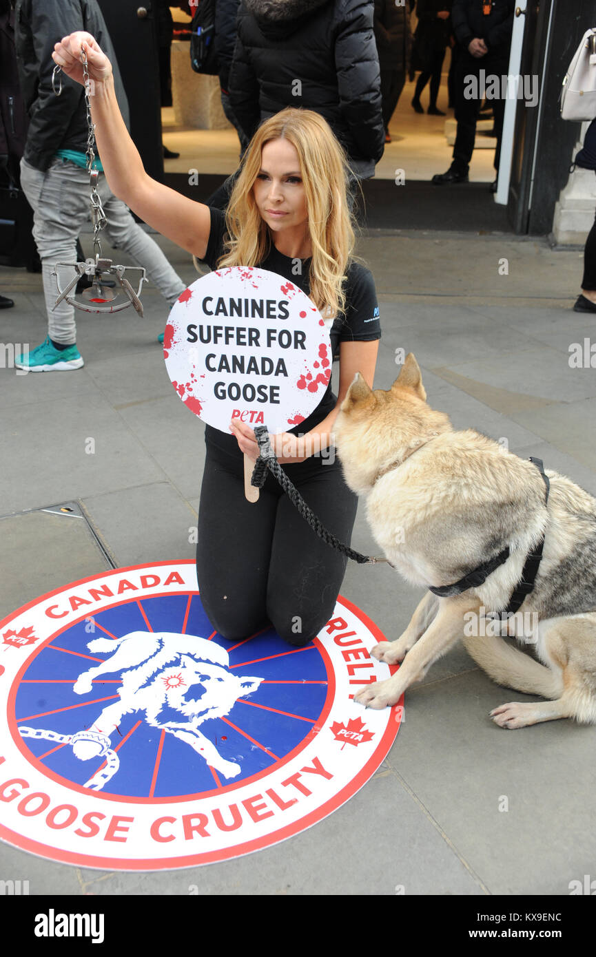 Anneka Svenska, et son compagnon canin, va rejoindre la PETA campagne pour  la fin de la trappe et tuant des coyotes à fourrure manteaux garnis, qui  protestaient devant le Canada Goose store