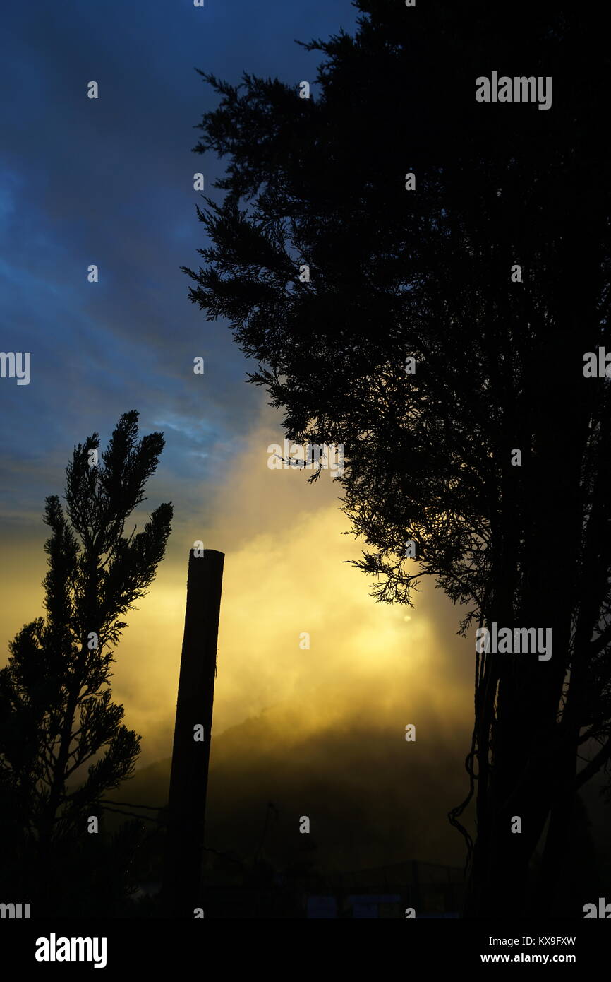 Soirée coucher du soleil avec des arbres d'ossature Banque D'Images