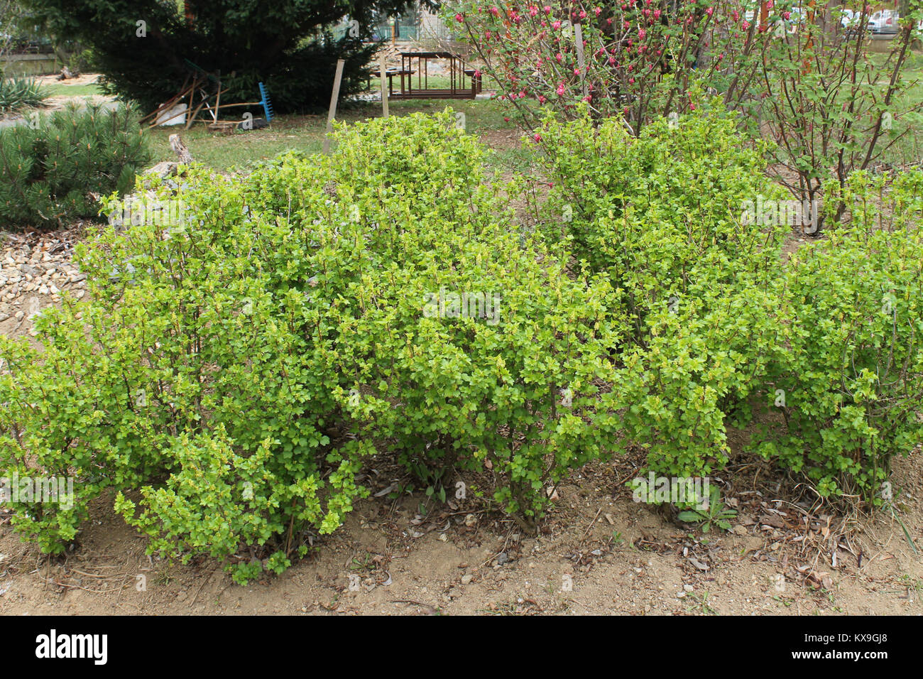 Ce titre semble faire référence à un code HTML ou à un composant de page Web, probablement lié à un document numérique ou à un élément de page Web, bien que le contenu exact ne soit pas spécifié. Banque D'Images