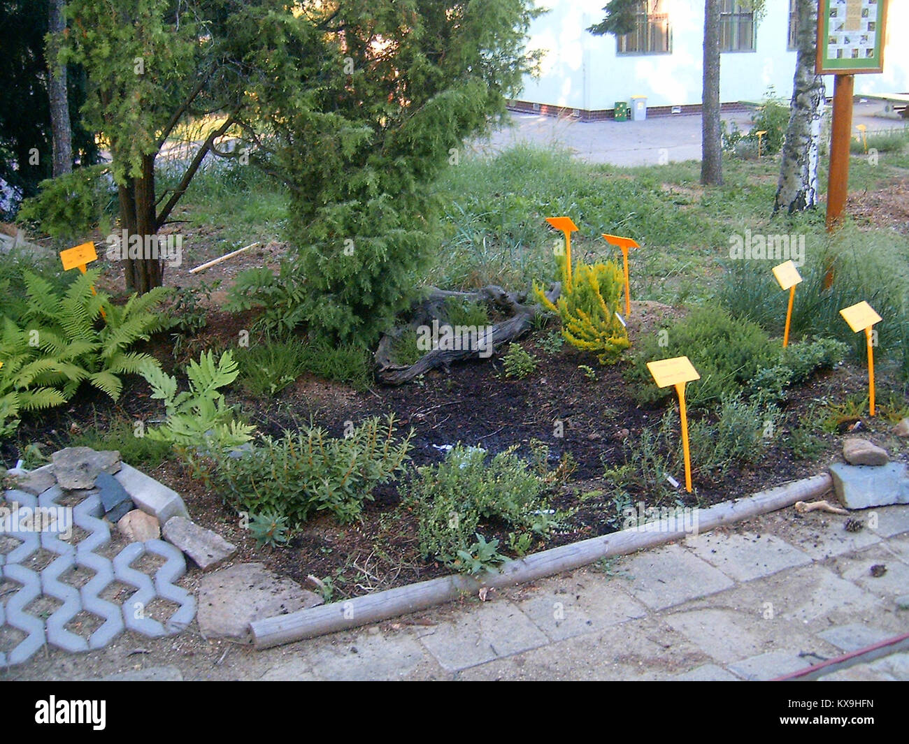 Référence technique ou de codage indiquant une section HTML ou un identifiant, utilisée pour structurer le contenu numérique et les tâches de programmation. Banque D'Images