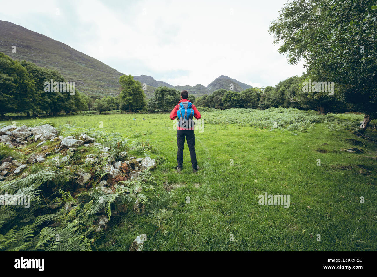 Male hiker à la belle campagne au paysage Banque D'Images